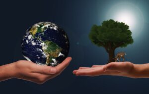 Notre vision pour un avenir durable et à faible émission de carbone