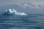Comprendre le plan d’action climat de Safran : Réponses à 4 questions clés