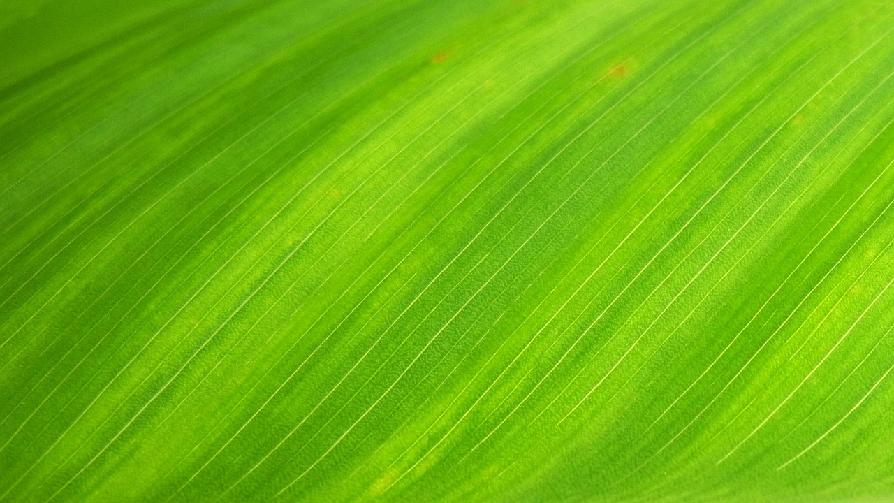 découvrez l'eco-computing, une approche durable de l'informatique visant à réduire l'impact environnemental des technologies numériques grâce à des pratiques écoresponsables et innovantes.