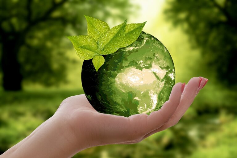 La Chine a-t-elle fait un bond vers une écologie durable ?