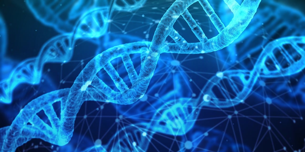 découvrez comment l'innovation technologique façonne notre avenir, transforme les entreprises et améliore le quotidien grâce à de nouvelles solutions et avancées numériques.