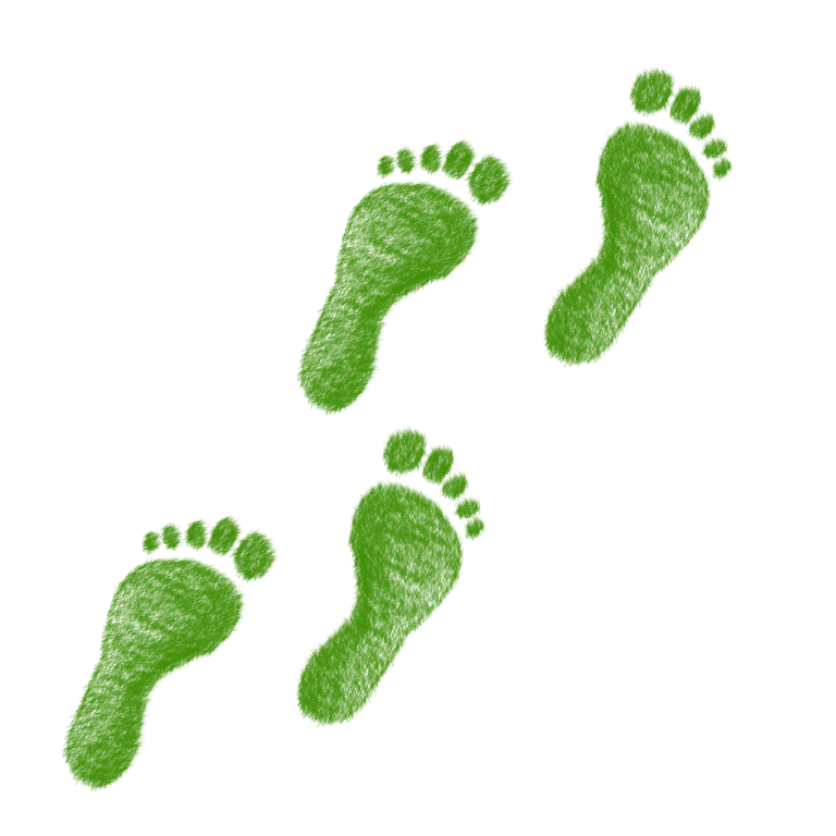 L’empreinte écologique : déchiffrer le bilan de notre impact sur la planète