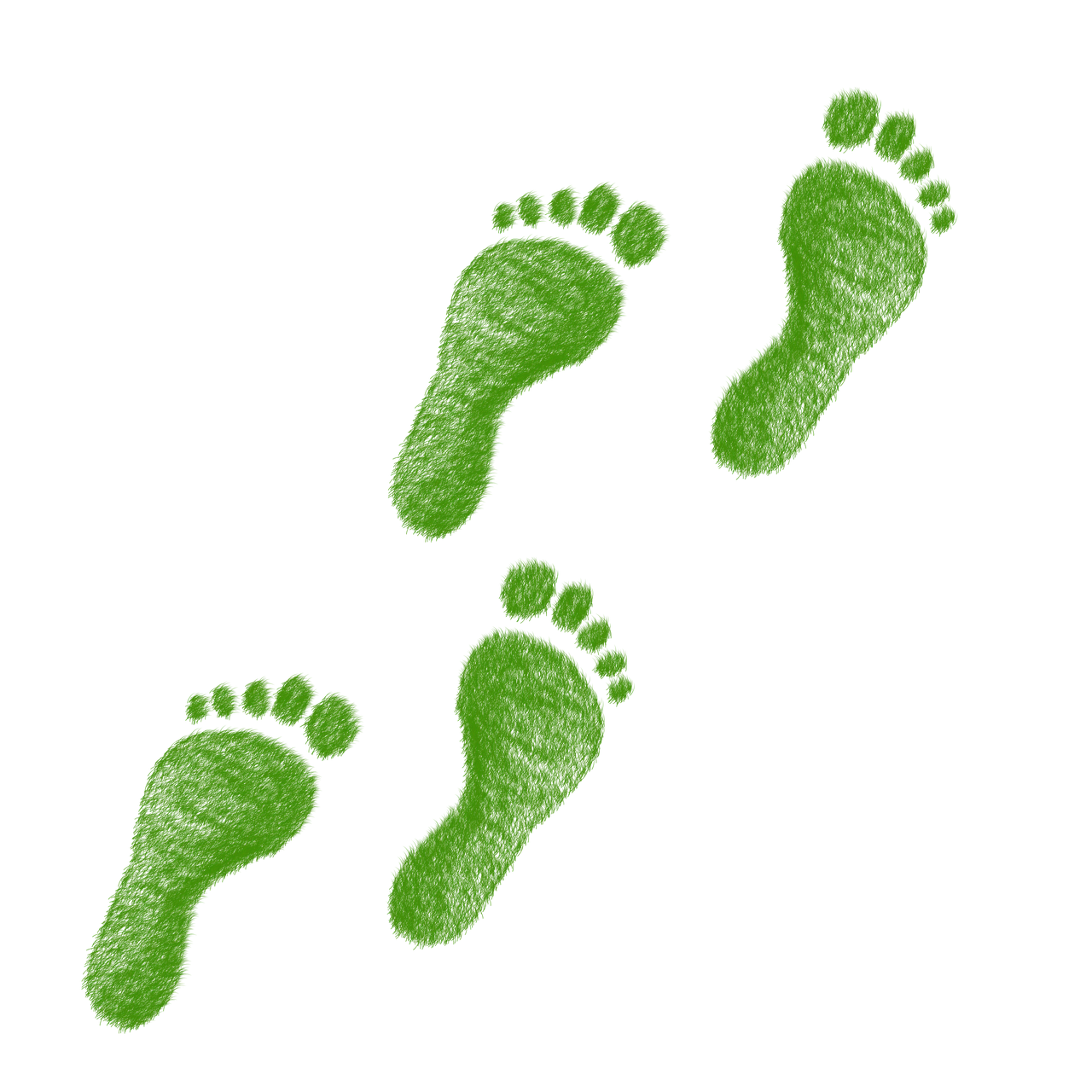 découvrez ce qu'est l'empreinte écologique, un indicateur clé pour évaluer l'impact environnemental de nos activités et promouvoir un mode de vie durable.