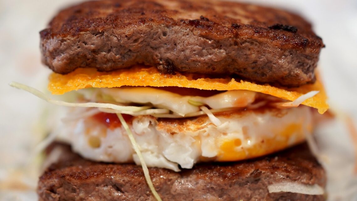 d&eacute;couvrez la strat&eacute;gie nationale bas carbone visant &agrave; r&eacute;duire les &eacute;missions de gaz &agrave; effet de serre, promouvoir les &eacute;nergies renouvelables et assurer un d&eacute;veloppement durable pour un avenir plus &eacute;cologique.