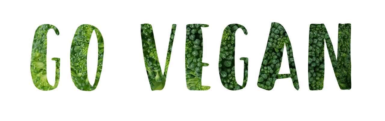 découvrez la mode durable et éthique : alliez style, respect de l'environnement et conditions de travail justes pour un avenir meilleur.