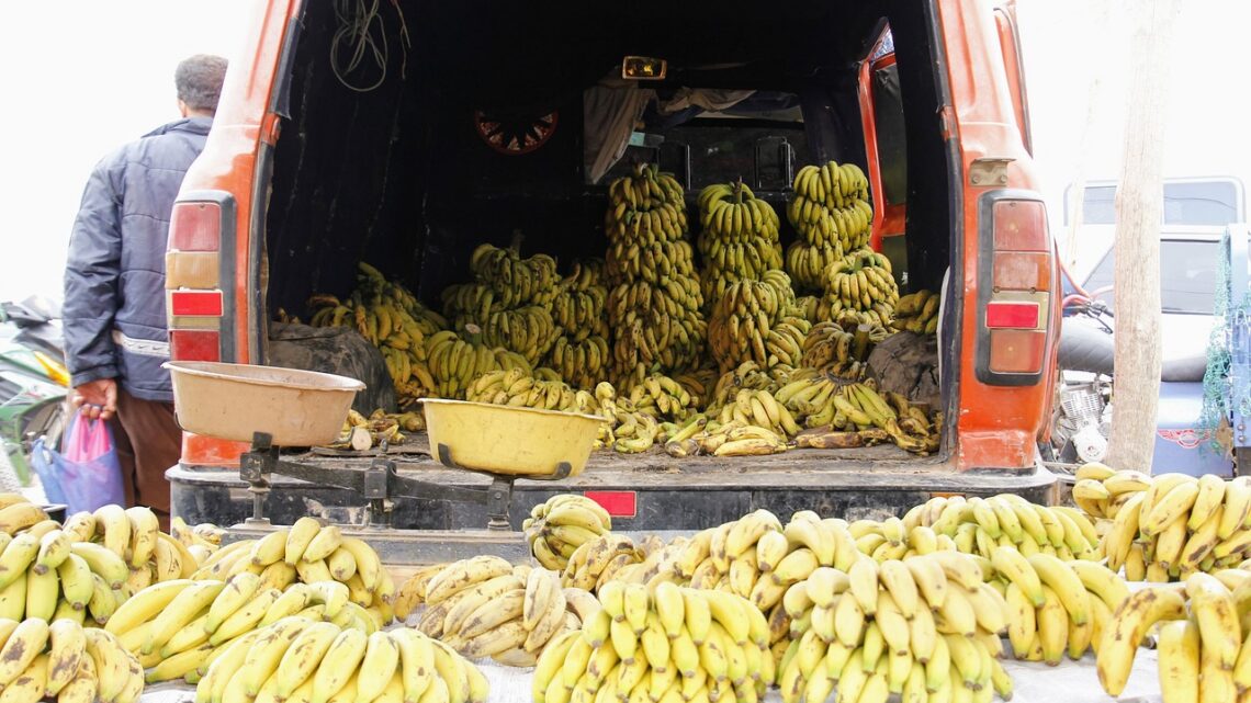 d&eacute;couvrez les avantages d'acheter local : soutenez les commerces de votre r&eacute;gion, r&eacute;duisez votre impact environnemental et favorisez l'&eacute;conomie locale.