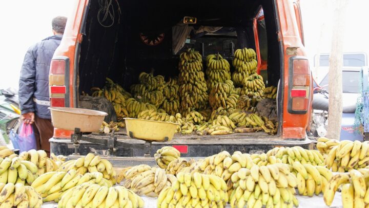 d&eacute;couvrez les avantages d'acheter local : soutenez les commerces de votre r&eacute;gion, r&eacute;duisez votre impact environnemental et favorisez l'&eacute;conomie locale.