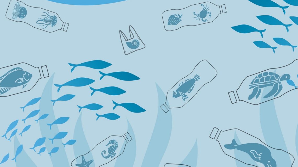 d&eacute;couvrez l'impact environnemental de la fast fashion et comment cette industrie affecte notre plan&egrave;te, avec des solutions pour un mode de consommation plus durable.