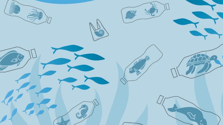 d&eacute;couvrez l'impact environnemental de la fast fashion et comment cette industrie affecte notre plan&egrave;te, avec des solutions pour un mode de consommation plus durable.