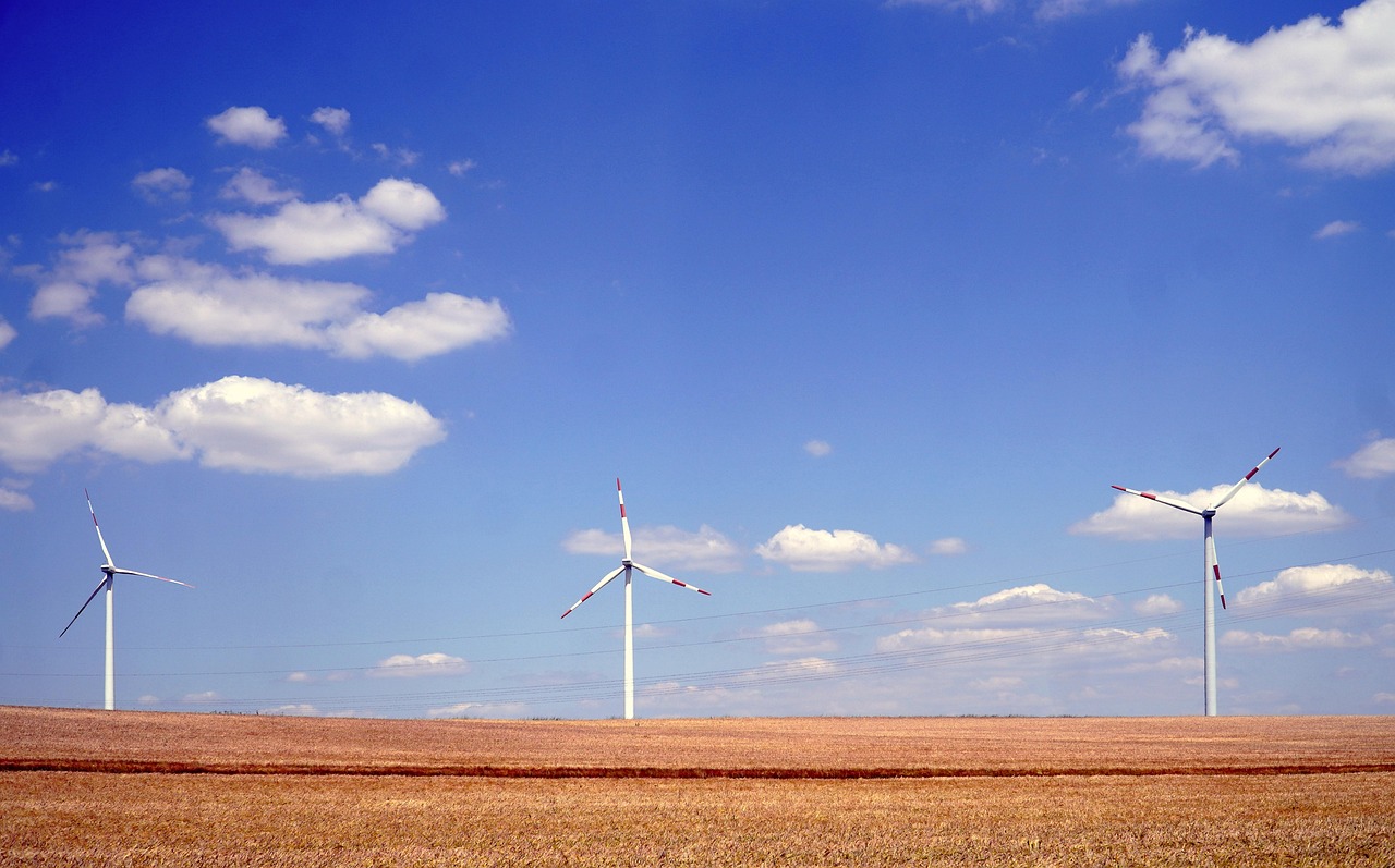 d&eacute;couvrez les strat&eacute;gies et solutions pour accompagner la transition bas carbone et r&eacute;duire l'empreinte environnementale.