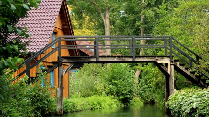 d&eacute;couvrez les strat&eacute;gies et solutions pour une transition bas carbone r&eacute;ussie, visant &agrave; r&eacute;duire les &eacute;missions de co2 et promouvoir un d&eacute;veloppement durable.