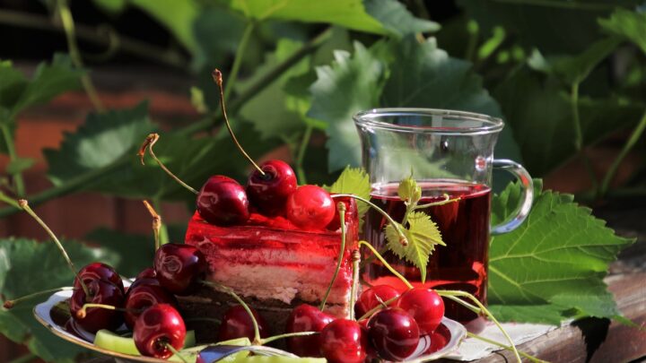 d&eacute;couvrez comment cultiver un jardin bio sur votre balcon avec nos conseils pratiques pour jardiner sans pesticides et profiter de r&eacute;coltes saines et naturelles &agrave; domicile.