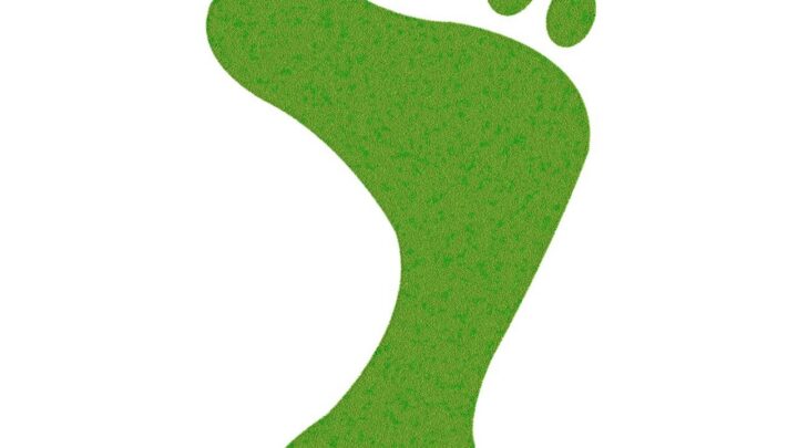 d&eacute;couvrez comment mesurer et r&eacute;duire votre empreinte carbone pour prot&eacute;ger l'environnement et lutter contre le changement climatique.