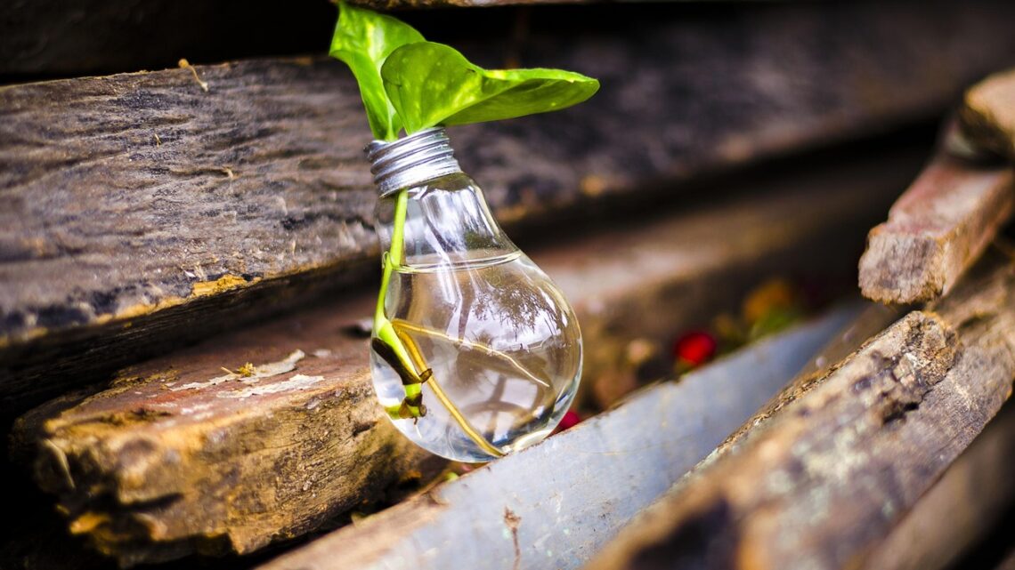 d&eacute;couvrez l'upcycling, une d&eacute;marche &eacute;coresponsable qui transforme vos objets usag&eacute;s en cr&eacute;ations uniques et durables, alliant cr&eacute;ativit&eacute; et protection de l'environnement.