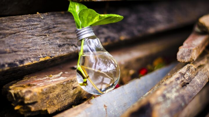 d&eacute;couvrez l'upcycling, une d&eacute;marche &eacute;coresponsable qui transforme vos objets usag&eacute;s en cr&eacute;ations uniques et durables, alliant cr&eacute;ativit&eacute; et protection de l'environnement.