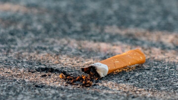 d&eacute;couvrez des &eacute;co-habitudes simples et efficaces pour adopter un mode de vie respectueux de l'environnement au quotidien.