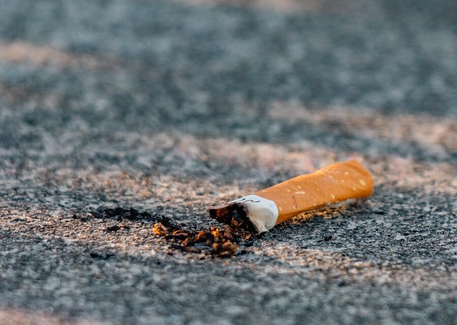 d&eacute;couvrez des &eacute;co-habitudes simples et efficaces pour adopter un mode de vie respectueux de l'environnement au quotidien.