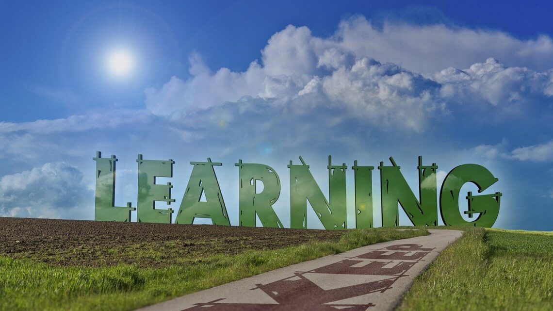 d&eacute;couvrez les carri&egrave;res vertes, des emplois durables qui contribuent &agrave; la protection de l'environnement et au d&eacute;veloppement &eacute;cologique.