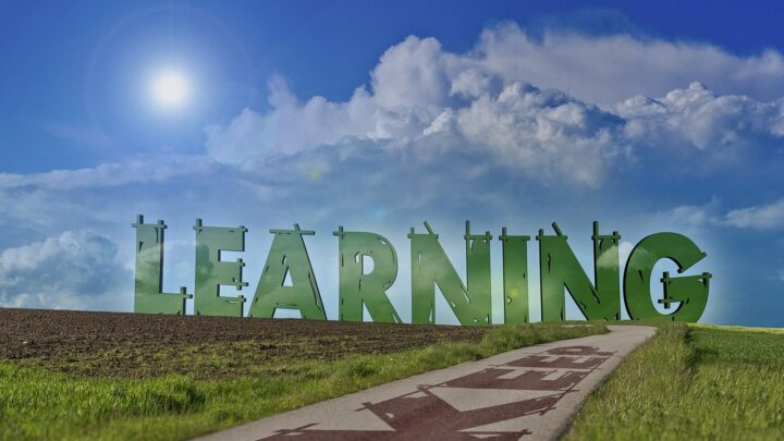 d&eacute;couvrez les carri&egrave;res vertes, des emplois durables qui contribuent &agrave; la protection de l'environnement et au d&eacute;veloppement &eacute;cologique.