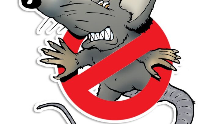 d&eacute;couvrez tout ce qu'il faut savoir sur l'interdiction des g&eacute;n&eacute;rateurs &agrave; los angeles, ses raisons, ses impacts et les alternatives disponibles.