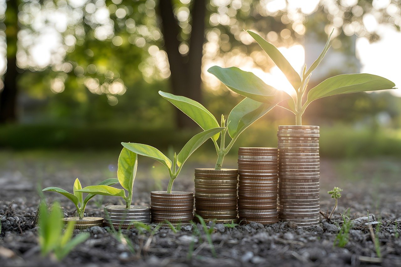 découvrez les principes clés de l'économie durable pour un avenir respectueux de l'environnement, favorisant la croissance responsable et la préservation des ressources.