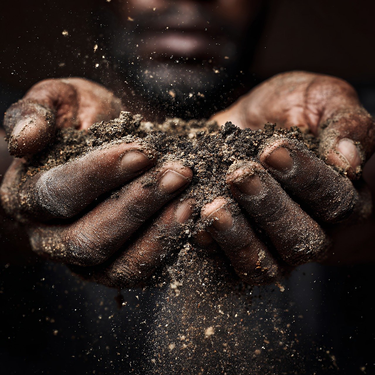 d&eacute;couvrez les pratiques innovantes et respectueuses de l'environnement en agriculture durable pour pr&eacute;server les ressources naturelles et garantir une production alimentaire saine.
