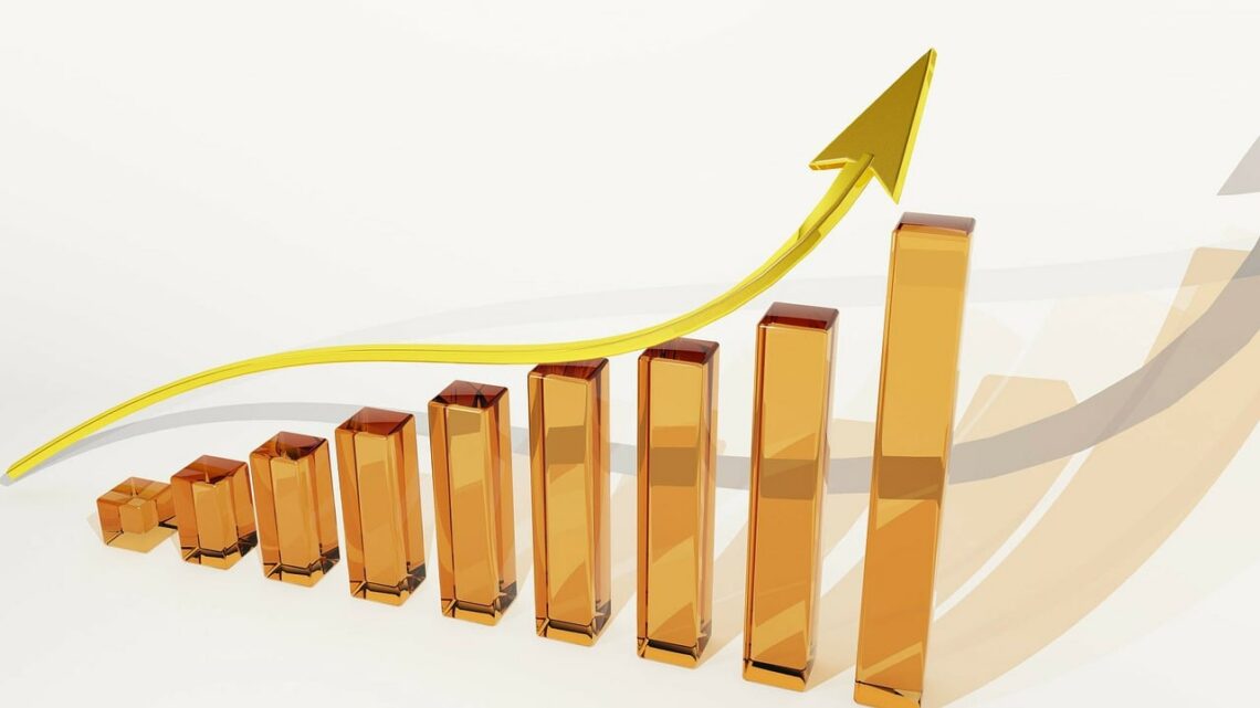 analyse des r&eacute;sultats financiers et de la performance &eacute;conomique d'une entreprise pour optimiser sa rentabilit&eacute; et sa croissance.
