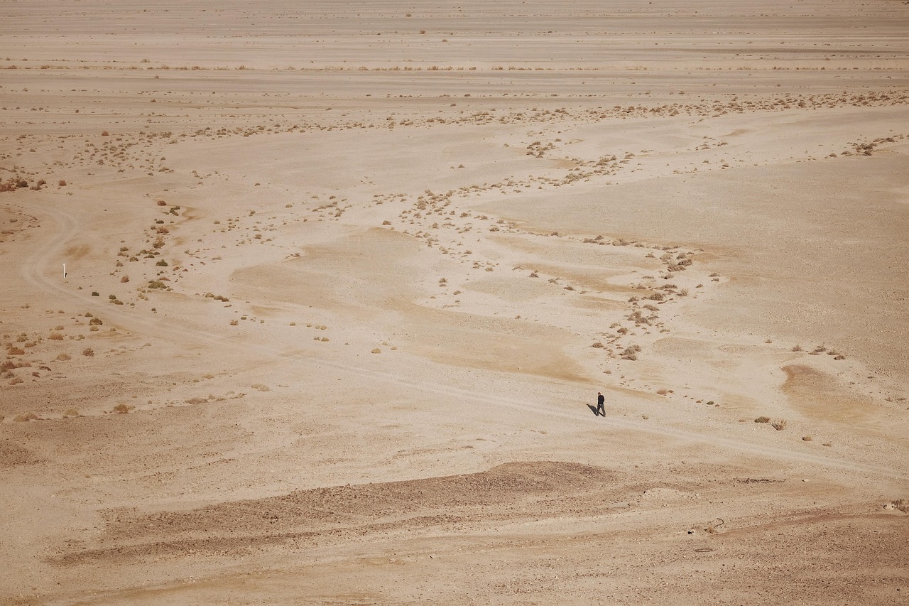 d&eacute;couvrez le minimalisme, un art de vivre qui pr&ocirc;ne la simplicit&eacute;, l'essentiel et l'harmonie pour un quotidien &eacute;pur&eacute; et serein.